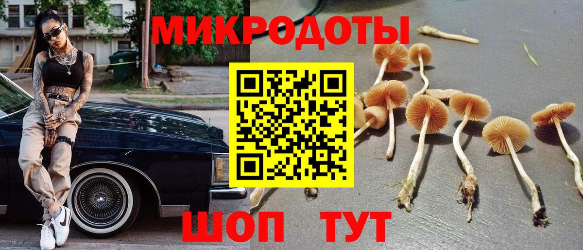 Галлюциногенные грибы Psilocybe Орёл