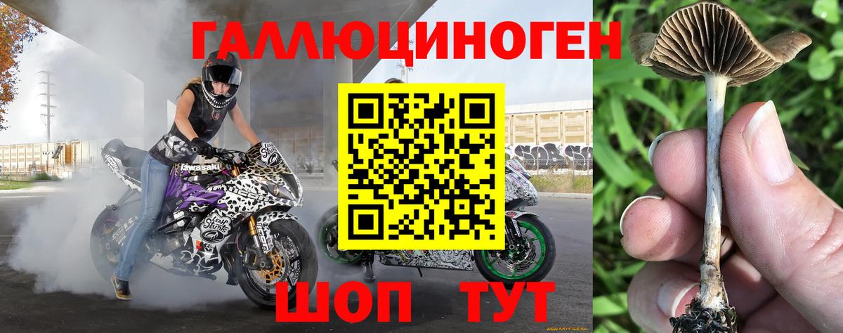 Метадон Орёл